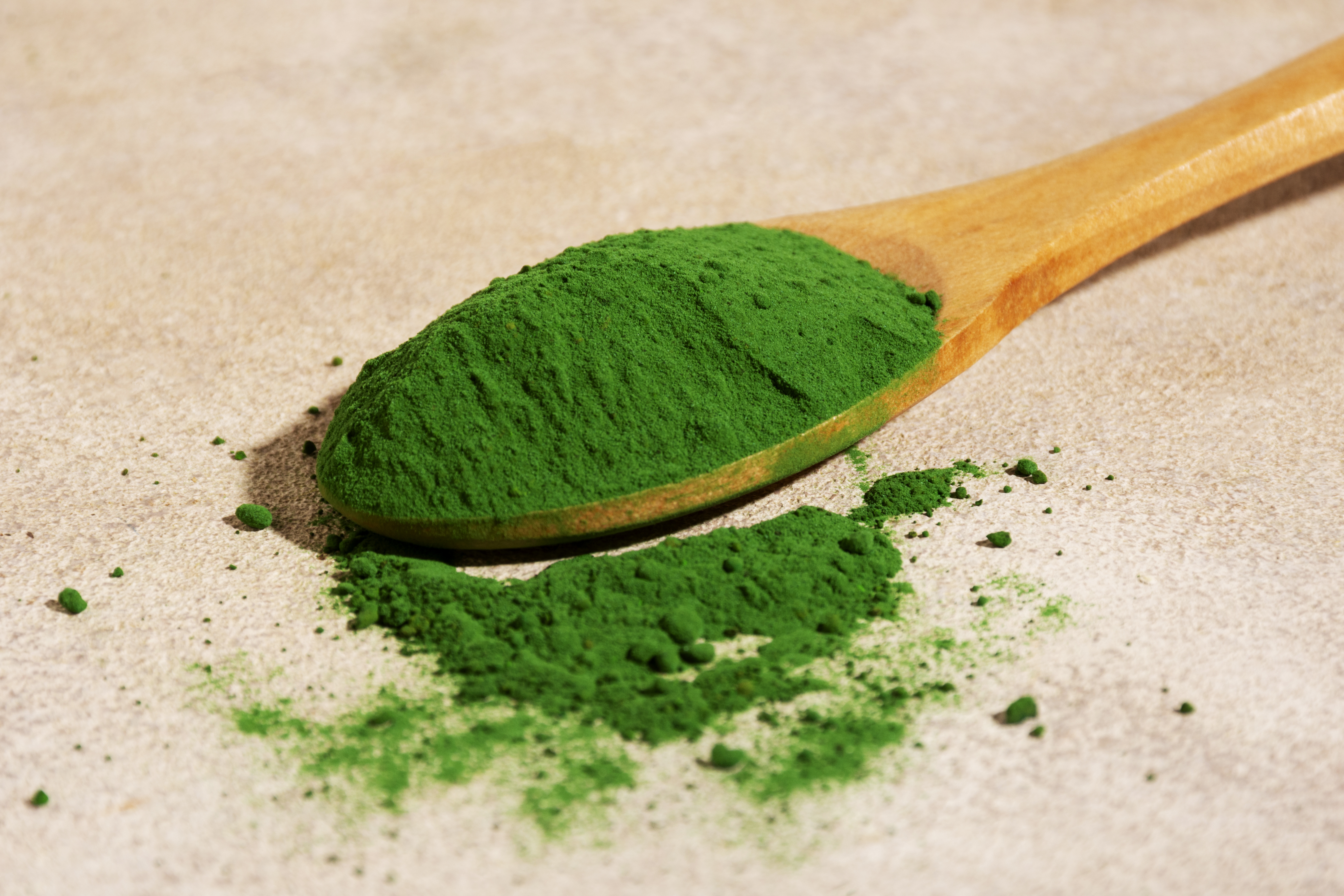 Chlorella